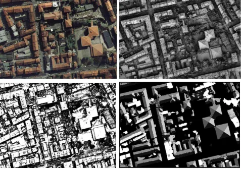 Figure 15. 3D shapes of the test area exported in CAD. Small polylines associated to small man-made structures are also present