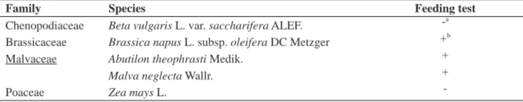 Table 3. Testing of feeding of species Podagrica menetriesi on leaves of different plant  species in the greenhouse