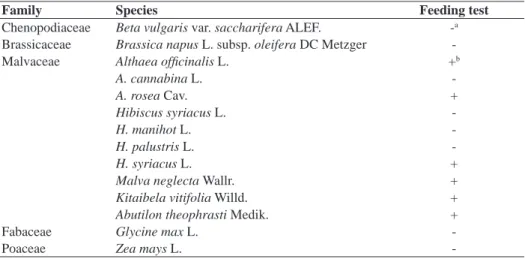 Table 4. Feeding test of the species Carcharodus alceae on leaves of different plant  species in the greenhouse
