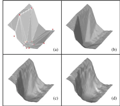Figure 6. Images used for the reconstruction, along with sampled points for generating the initial coarse surface