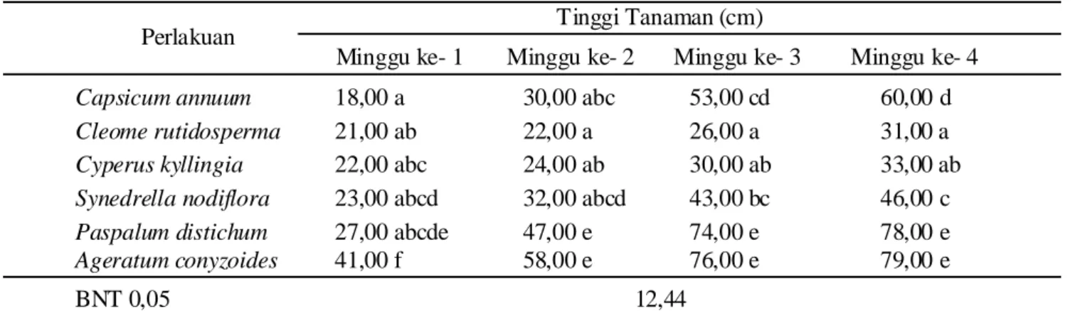 Tabel 2. Tinggi Tanaman Cabai dan Beberapa Jenis Gulma yang tetap sehat.