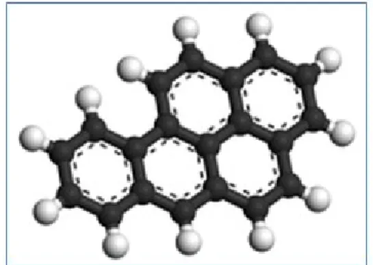 Gambar 1. Cincin aromatic benzo[a]pyrene (Wikipedia, 2010)