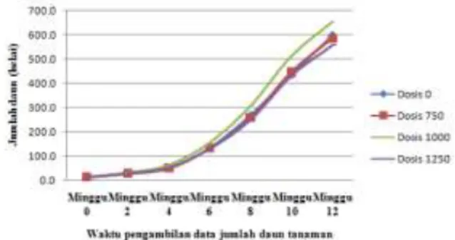 Gambar 10. Grafik Pertumbuhan  Jumlah Daun 
