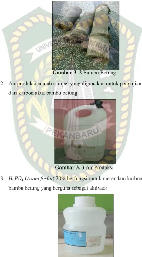 Gambar 3. 2 Bambu Betung 