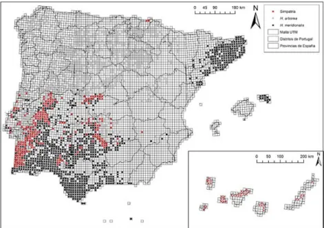 Figura 1. Mapa de distribución en la península Ibérica de Hyla meridionalis (puntos negros),  Hyla arborea (puntos grises) y zonas de simpatría (puntos rojos)