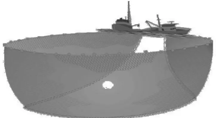 Gambar 3. Pukat tarik pantai  b)  Pukat tarik berkapal (boat or vessel seines) 