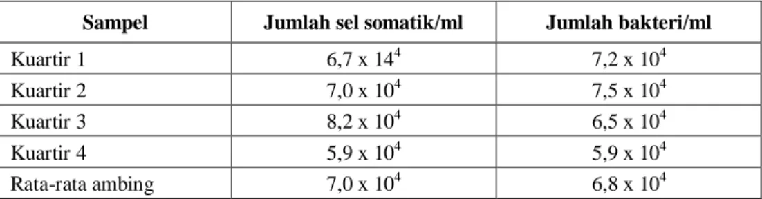 Tabel 1. Rata-rata jumlah sel somatik dan bakteri (n=21 ekor) 