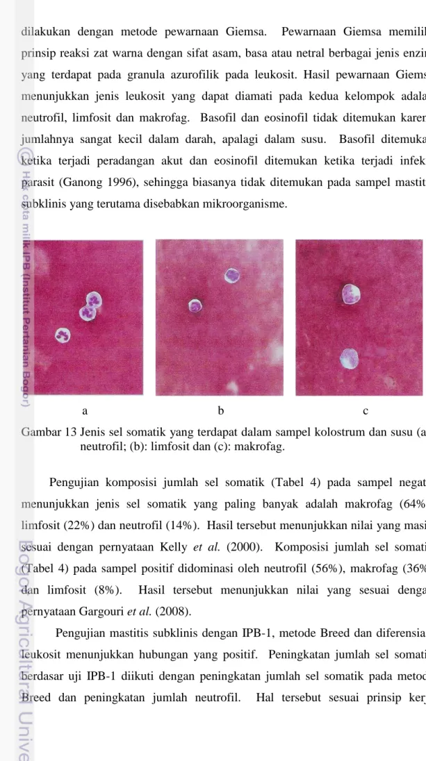 Gambar 13 Jenis sel somatik yang terdapat dalam sampel kolostrum dan susu (a): 
