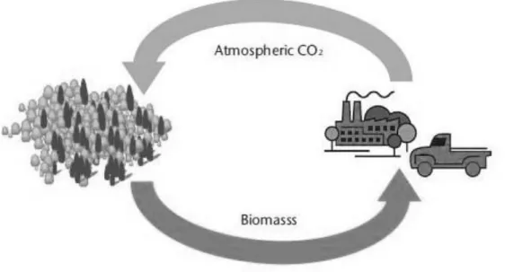 Gambar II.2. Net-Zero Carbon Cycle 