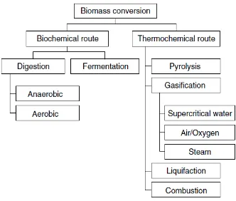 Figure 2.1. Chart of the Biomass Conversion Process [9] 
