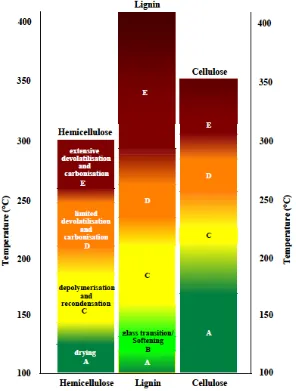 Figure 2.3. Thermal stability main components of wood [13]. 