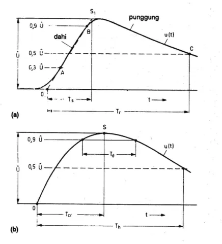 Gambar parameter tegangan uji impuls standard 