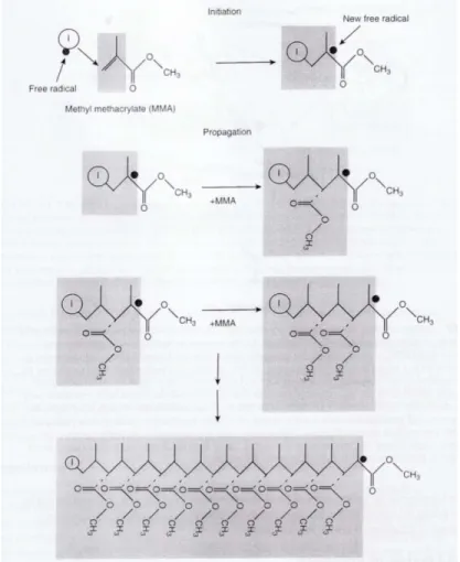 Gambar 3 : Reaksi polimerisasi resin akrilik. (From: Powers JM, Wataha JC. Dental          Materials Properties and Manipulation