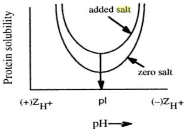 Grafik 1. Kurva solubilitas protein terhadap pH pada penambahan garam. 1 Pada konsentrasi lebih dari 0,2 M, sifat kosmotropy berperan dalam  mengurangi solubilitas protein