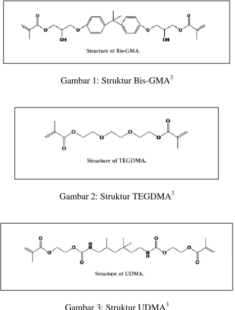 Gambar 2: Struktur TEGDMA 3 