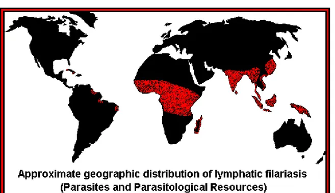 Gambar 5. Distribusi global Penyakit Filaria. Sumber: website filariasis.org 