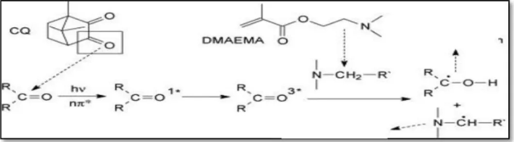 Gambar  5.  Skema  peranan  CQ  dan  DMAEMA  dalam  polimerisasi  radikal  bebas    resin komposit