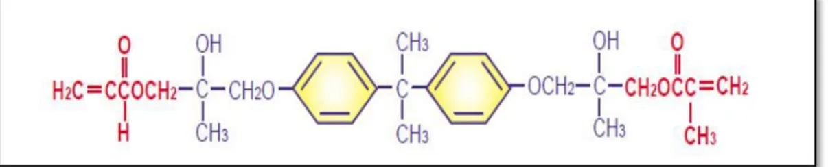 Gambar 1. Struktur kimia resin komposit dimethacrylate matriks resin bis-GMA. 