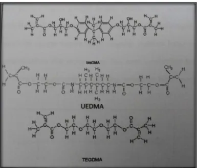 Gambar 1. Struktur kimia Bis-GMA, UEDMA, dan TEGDMA 3 