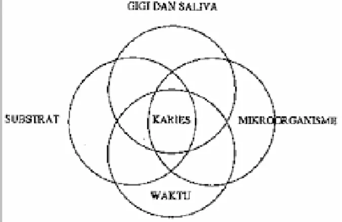 Gambar 1. Diagram Karies 