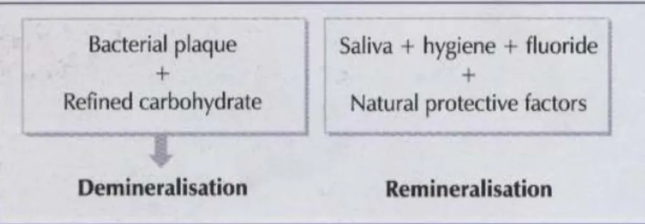Gambar 2.1. Interaksi faktor-faktor etiologi di dalam rongga mulut Dikutip dari Preservation and Restoration of Tooth Structure 2 nd  ed