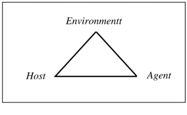 Gambar 2.2. Segitiga Epidemiologi 