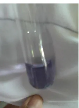 Gambar 1 : pemanasan kalium  klorat + serbuk batu kawi dan  dihubungkan dengan selang serta  gelas ukur yang diletakkan terbalik 