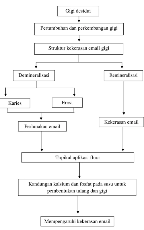 Gambar 1. Kerangka Konsep Gigi desidui 