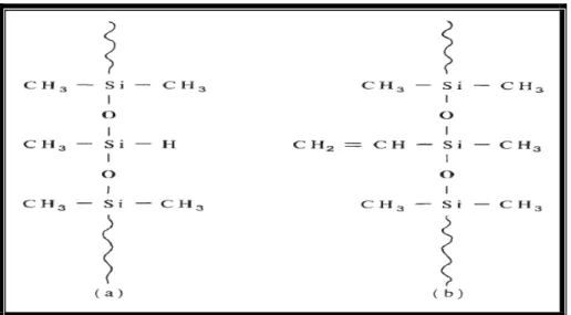 Gambar 1 . Struktur kimia silikon prepolimer pada pasta bahan cetak  silikon adisi. (a) Pasta mengandung Si-H (b) Pasta  mengandung Si-CH=CH2  22
