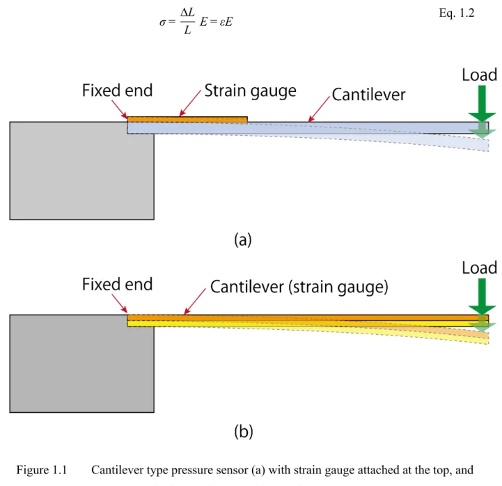 Figure 1.1  Cantilever type pressure sensor (a) with strain gauge attached at the top, and  (b) the cantilever itself as strain gauge 
