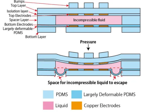 Figure 1.14  The cross-sectional view of the capacitive sensor device (top) and flowing-out  of liquid from spacer layer during pressure application on the device (bottom) 