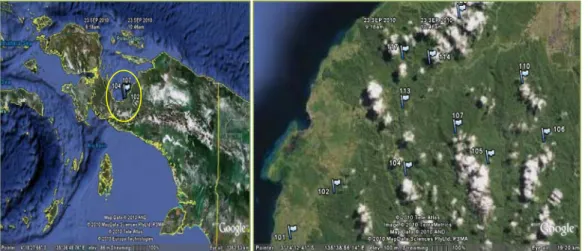 Gambar 3. Sebaran pohon induk sengon yang telah diambil buahnya (Peta Papua dari Google  Maps) 