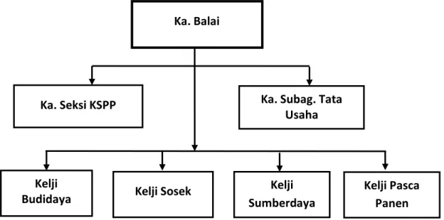 Gambar 1.  Struktur Organisasi BPTP Sul Sel, Tahun 2016 