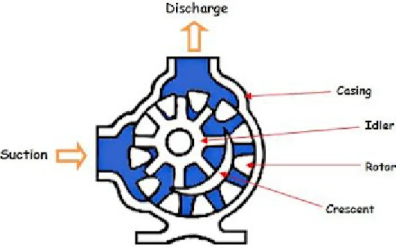 Gambar 1.2 Internal Gear Pump