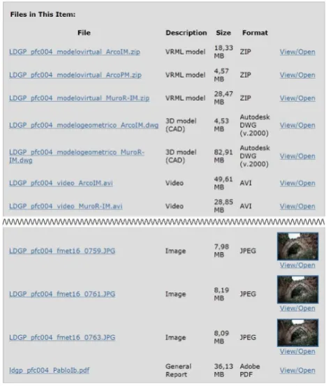 Figure 7. Different types of files included in a record (http://hdl.handle.net/10810/7083  20 Jun