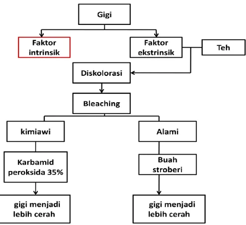 Gambar 2 Kerangka Konsep 