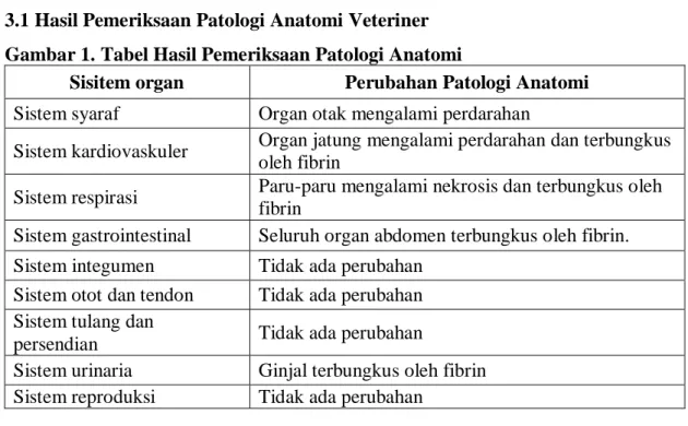 Gambar 2. Tabel Hasil Pemeriksaan Histopatologi 