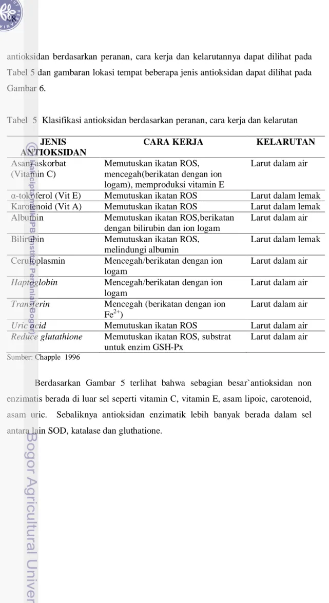 Tabel  5  Klasifikasi antioksidan berdasarkan peranan, cara kerja dan kelarutan   JENIS 