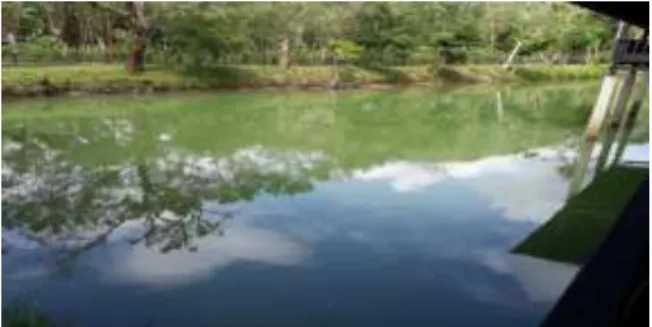 Gambar 1. Empang Uji Coba 