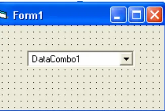 Gambar 6.21 Tampilan Data Combo pada form 