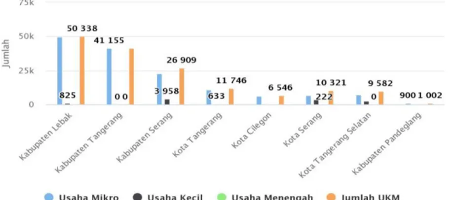 Gambar 1. Jumlah Pertumbuhan UMKM Menurut Kabupaten/Kota di Provinsi Banten  Sumber gambar: Dinas Koperasi dan UKM Provinsi Banten 