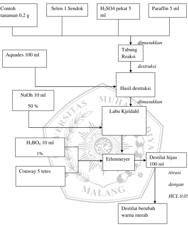 Gambar 3.4 Metode Kjeldahl 