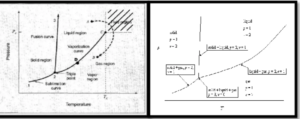 Gambar  1  diatas  menunjukan  diagram  PT  (tekanan-suhu)  sebuah  komponen  murni.  Pada  Gambar 3 jelas diperlihatkan titik tripel pada titik 2 dan hanya ada satu titik tripel