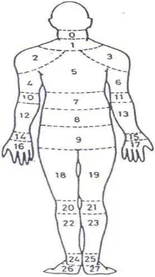 Gambar 2.1 Nordic Body Map 