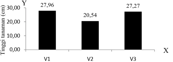 Gambar 1. Histogram antara varietas dengan tinggi tanaman 2 MST (cm). 