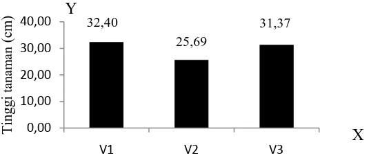 Gambar 4. Histogram antara varietas dengan tinggi tanaman 5 MST (cm). 