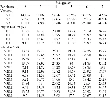 Tabel 2 . Rataan jumlah daun pada umur 2 MST – 7 MST (helai)  pada berbagai perlakuan varietas dan pupuk kalium