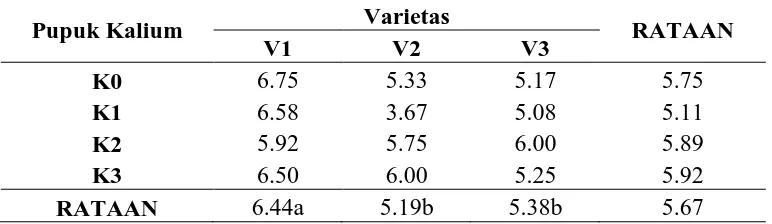 Tabel 3 . Rataan jumlah siung per sampel (buah)  pada berbagai perlakuan varietas dan pupuk kalium