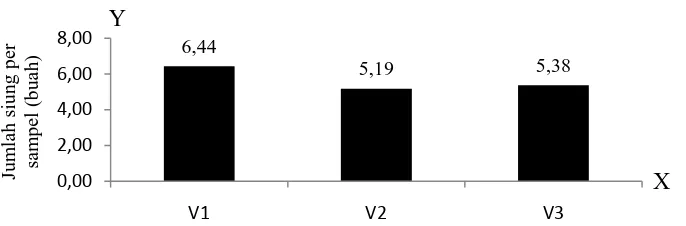 Gambar 13. Histogram antara varietas dengan jumlah siung per sampel (buah) 
