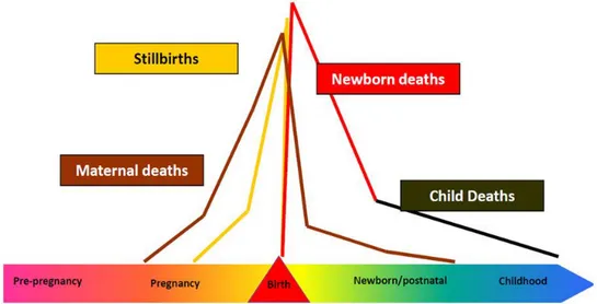 Gambar 1. Grafik puncak kematian neonatus 